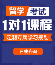 曰日本老女人的比留学考试一对一精品课